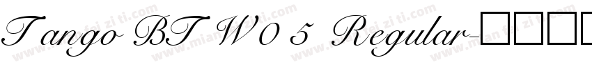 Tango BT W05 Regular字体转换